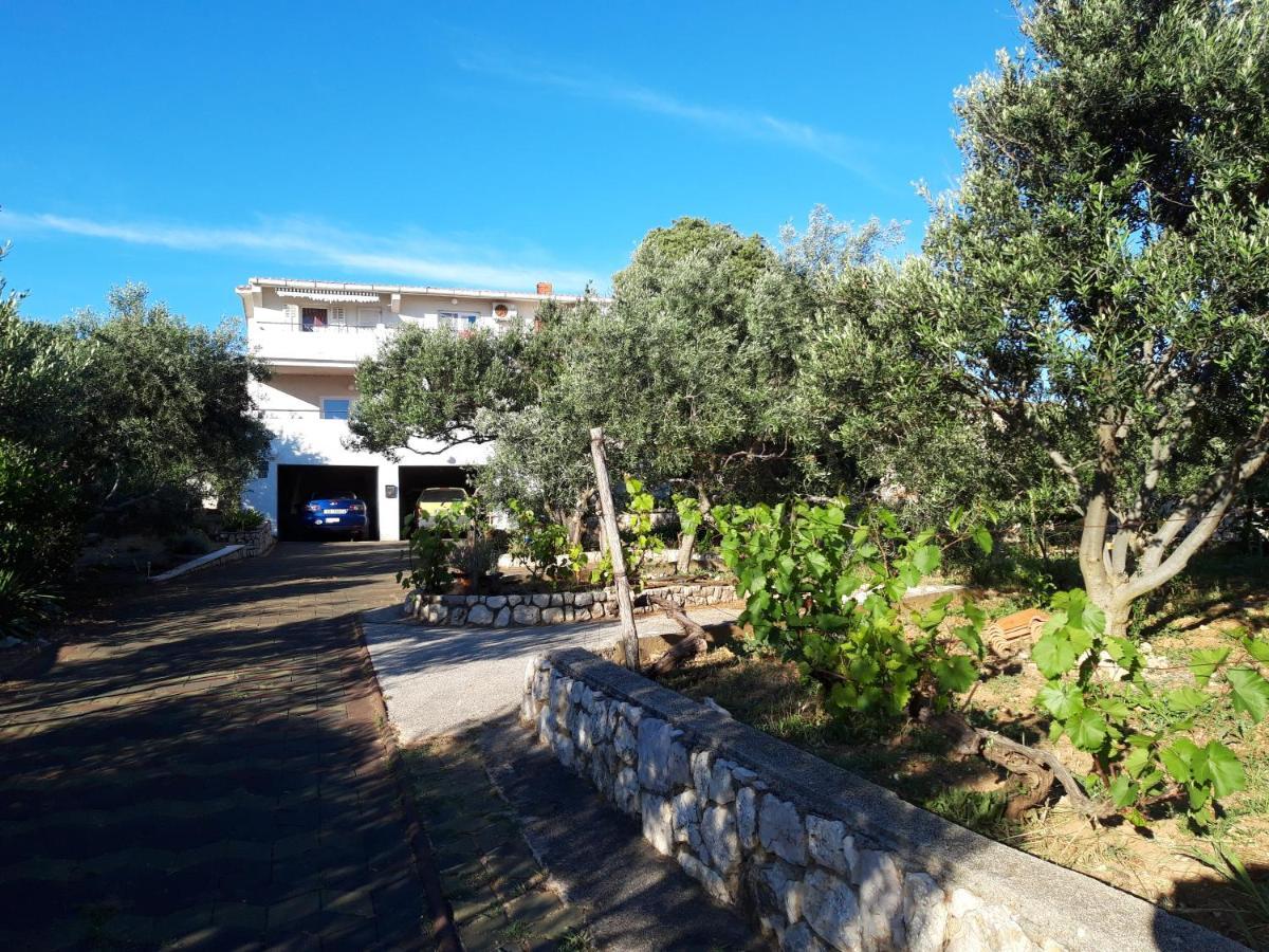 Apartment Gligora Mandre Exterior photo